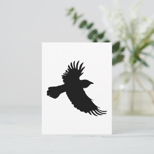 CARTE POSTALE PETIT RAVEN (Debout devant)