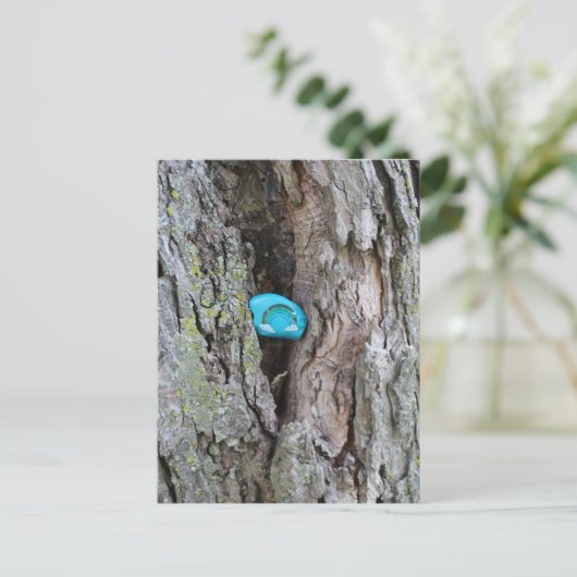 Carte Postale Petit Rocher Arc-en-Ciel Peint Caché dans un Arbre (Debout devant)