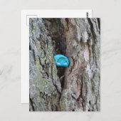 Carte Postale Petit Rocher Arc-en-Ciel Peint Caché dans un Arbre (Devant / Derrière)