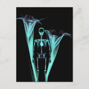 Carte Postale Petit Skeleton et Fleurs X-Ray humain - Turquoise