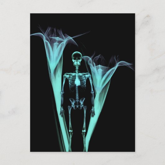 Carte Postale Petit Skeleton et Fleurs X-Ray humain - Turquoise (Devant)
