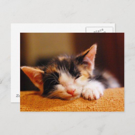 Carte Postale Petit sommeil de Kitty (Devant / Derrière)