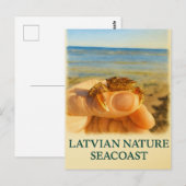 Carte Postale Petit trésor de la mer Baltique (Devant / Derrière)