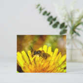 Carte Postale Petite abeille (Debout devant)