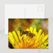 Carte Postale Petite abeille (Devant / Derrière)