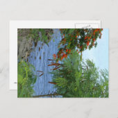 Carte Postale Petite Anse - Martinique, FWI (Devant / Derrière)