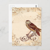 Carte Postale Petite chouette Brown (Devant / Derrière)