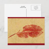 Carte postale "Petite feuille" (Devant / Derrière)