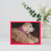 Carte Postale petite fille (Debout devant)