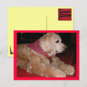 Carte Postale petite fille (Devant / Derrière)