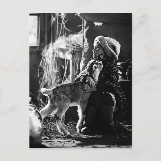 Carte Postale Petite fille et chèvre (Devant)