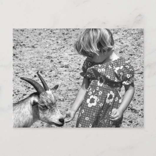 Carte Postale Petite fille qui nourrit une chèvre graines de tou (Devant)