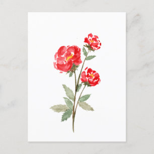 Carte Postale Petite Fleur Rouge