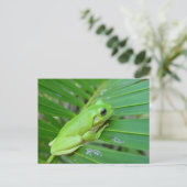 Carte Postale Petite grenouille verte (Debout devant)