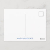 Carte Postale Petite lecture Teddy Bear Aquarelle (Dos)