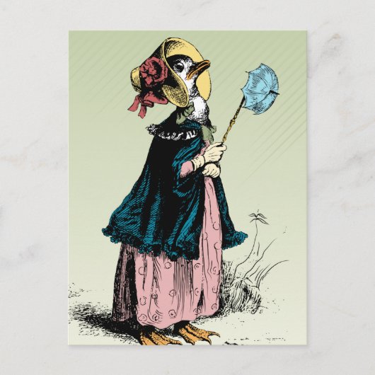 Carte Postale Petite Mme Duck (Devant)