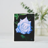 Carte Postale Petite princesse bleue (Debout devant)