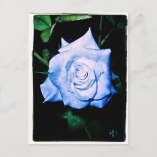 Carte Postale Petite princesse bleue