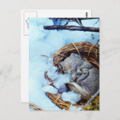 Carte Postale Petite souris qui dort dans la neige (Devant / Derrière)