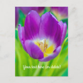 Carte Postale Petite Tulipe Violette (Devant)