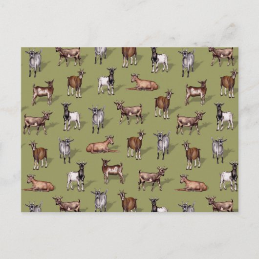 Carte Postale Petites chèvres en vert - Motif de troupeau de chè (Devant)