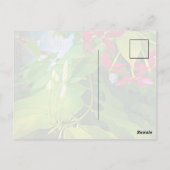 Carte Postale Petites écritures de début Citation Inspirationnel (Dos)