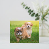 Carte Postale Petites marionnettes (Debout devant)