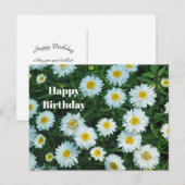 Carte Postale Petites pâquerettes florales photo anniversaire (Devant / Derrière)