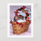 Carte Postale Petites surprises (Devant)