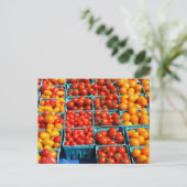 Carte Postale Petites tomates rouges et orange (Debout devant)