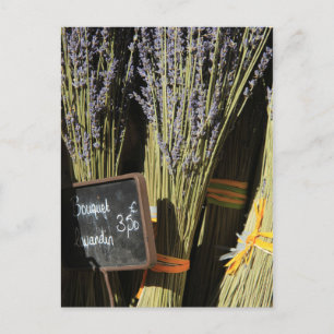 Carte Postale Petits bouquets de lavande