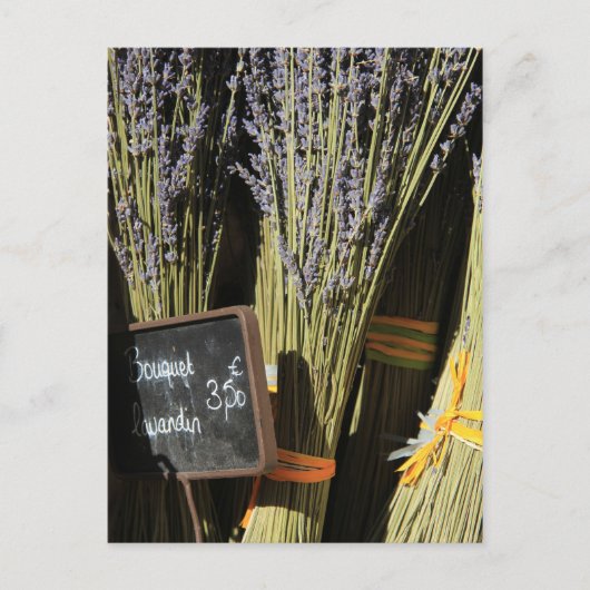 Carte Postale Petits bouquets de lavande (Devant)