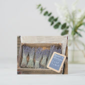 Carte Postale Petits bouquets de lavande (Debout devant)