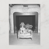 Carte Postale Petits canicules assis devant la cheminée (Devant)