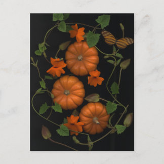 Carte Postale petits citrouilles