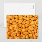 Carte Postale Petits Citrouilles de récolte de automne orange (Devant / Derrière)
