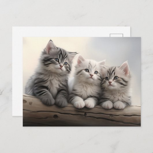 Carte Postale Petits - Cute Tabby Kittens (Devant / Derrière)