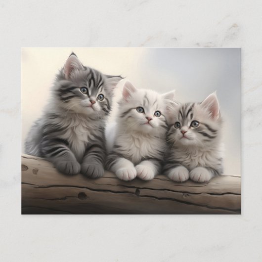 Carte Postale Petits - Cute Tabby Kittens (Devant)