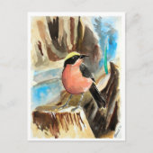 Carte Postale Petits oiseaux #7 (Devant)