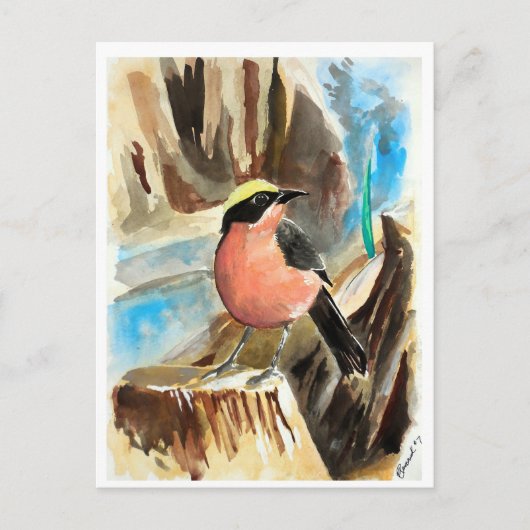Carte Postale Petits oiseaux #7 (Devant)