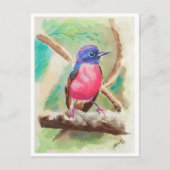 Carte Postale Petits oiseaux #9 (Devant)