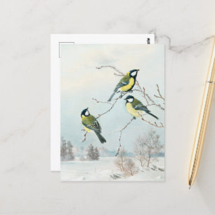 Carte Postale Petits oiseaux mignons par Matti Karppanen, Oiseau