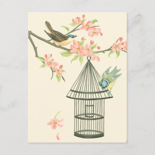 Carte Postale Petits oiseaux perchés sur une branche et sur une  (Devant)