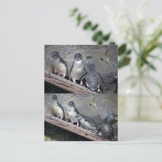 Carte Postale Petits pingouins bleu (Debout devant)