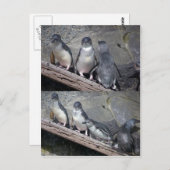 Carte Postale Petits pingouins bleu (Devant / Derrière)