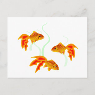 Carte Postale Petits Poissons Dorés