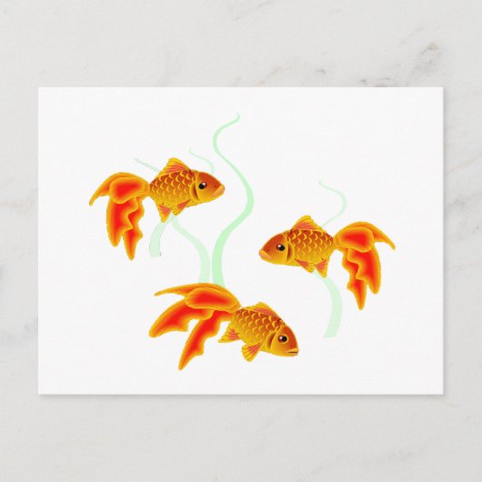Carte Postale Petits Poissons Dorés (Devant)