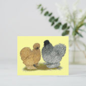 Carte Postale Petits poulets (Debout devant)