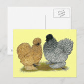 Carte Postale Petits poulets (Devant / Derrière)