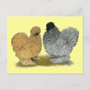 Carte Postale Petits poulets